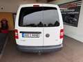 Volkswagen Caddy Lang Radstand Zentrale elekt Fenster 1. Hand AHK Weiß - thumbnail 5