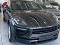 Porsche Macan 2.0 265cv pdk Grau - thumbnail 6