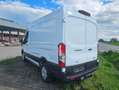 Ford Transit Transit Kasten Trend 350L2 2,0L Eblue 165PS M AWD Weiß - thumbnail 3