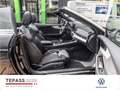 Audi A5 40 TFSI Cabriolet S line ACC LED PDC KAMERA Schwarz - thumbnail 8