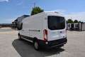 Ford Transit 2.2 TDCi 350 L3 DK Trend FWD (Euro 5) Weiß - thumbnail 13