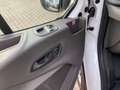 Ford Transit Kasten 350 L4 H3 Trend super Zustand Blanc - thumbnail 12