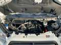 Ford Transit Kasten 350 L4 H3 Trend super Zustand Blanc - thumbnail 19