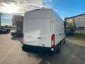 Ford Transit Kasten 350 L4 H3 Trend super Zustand Blanc - thumbnail 3