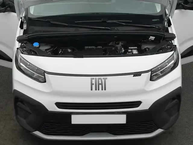 Fiat Qubo view 8