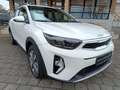 Kia Stonic STONIC 1.0T AUTOMATIK VISION LED Weiß - thumbnail 3