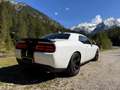 Dodge Challenger 6.4L Scat Pack V8 Erstz. Öster. SAMMLERZUSTAND Weiß - thumbnail 3