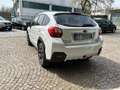 Subaru XV XV 2.0d Free (comfort) 6mt Bianco - thumbnail 7