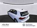 Volkswagen Golf VIII 1.5 TSI Life, Navi, LED, Rückfahrkamer Weiß - thumbnail 4