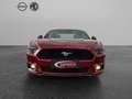 Ford Mustang Basis 2.3 EcoBoost Navi Leder Soundsystem Klimasit Rot - thumbnail 7