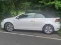 Volkswagen Golf Cabriolet Golf Cabrio 1.2 TSI BlueMotion TechnologyCup Blanc - thumbnail 1