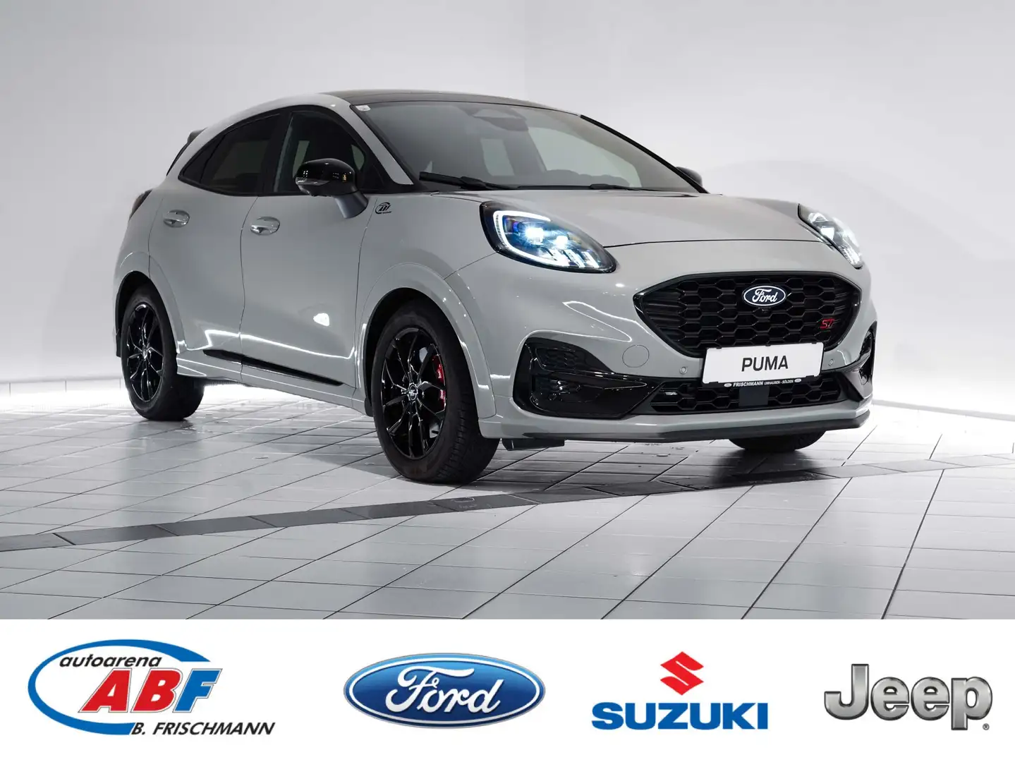 Ford Puma ST Grau - 1