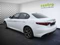 Alfa Romeo Giulia Veloce Q4 Blanco - thumbnail 5