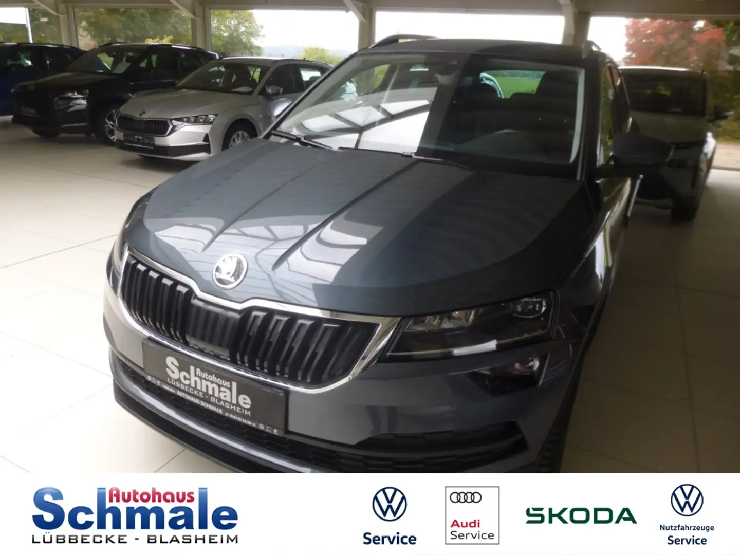 Skoda Karoq 1,0l Clever 81 KW, 6-Gang-Schaltgetriebe Grau - 1