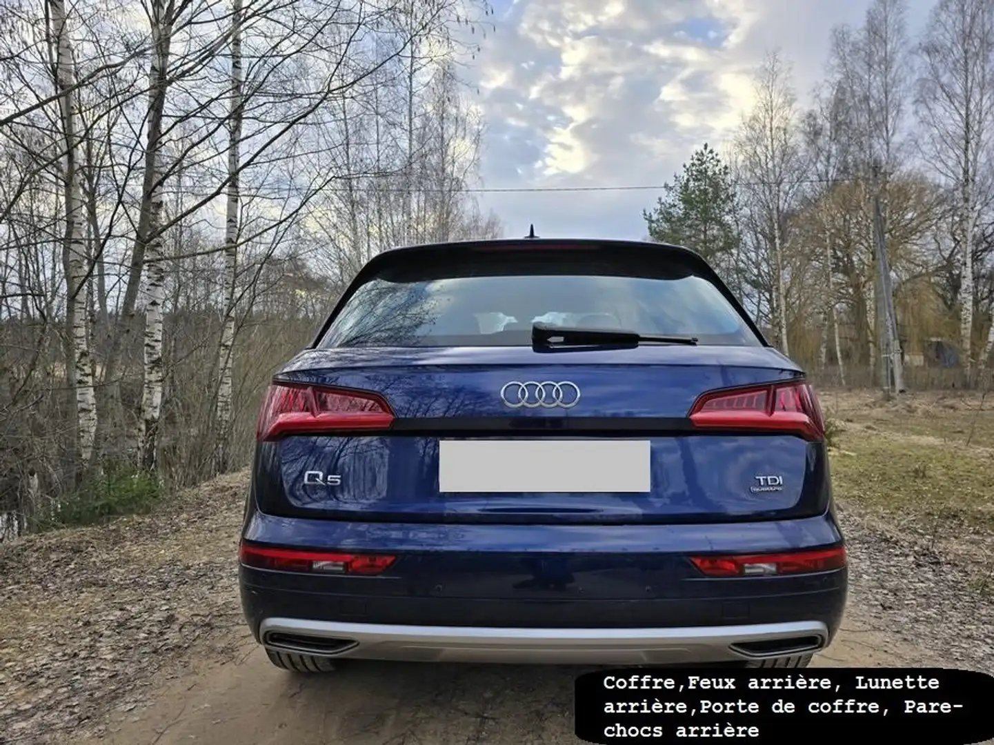 Audi Q5 2.0 TDi Quattro S tronic Bleu - 1