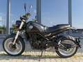 Benelli Leoncino 500 Trail - mehrere Farben - thumbnail 4