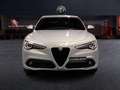 Alfa Romeo Stelvio 2.2 D TURBO 154KW VELOCE AUTO 4WD 5P Blanc - thumbnail 2