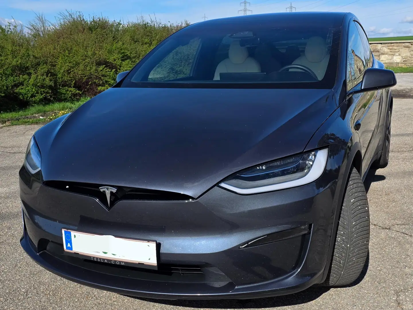 Tesla Model X Model X 100kW Long Range Grau - 1