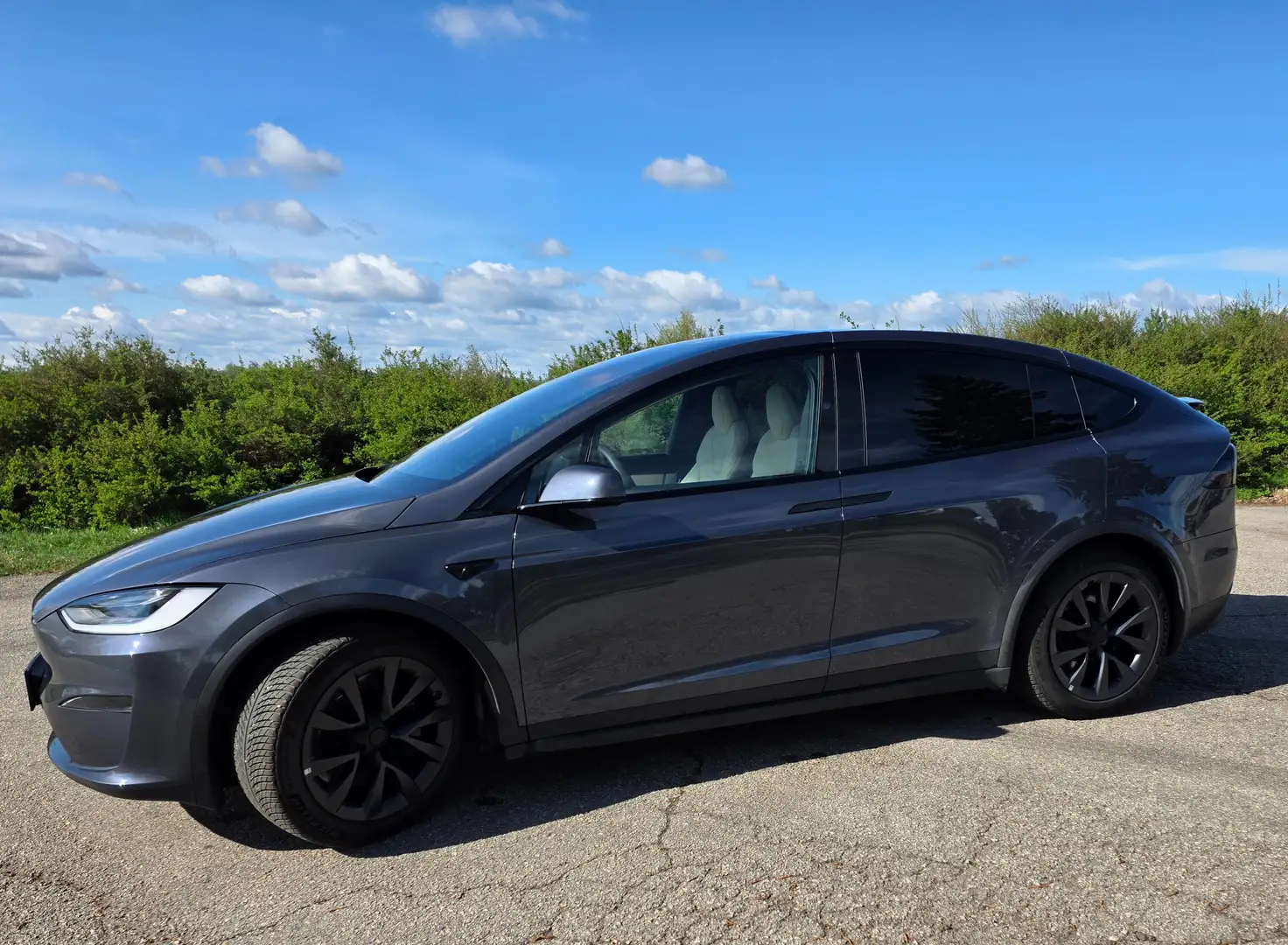 Tesla Model X Model X 100kW Long Range Grau - 2
