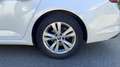 Renault Talisman 1.5 dCi 110 Business Alb - thumbnail 19