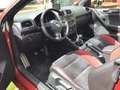 Volkswagen Golf Cabriolet Golf Cabrio 1.4 TSI - thumbnail 2