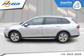 Volkswagen Golf Alltrack Kombi Silber - thumbnail 6
