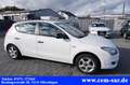 Hyundai i30 *Parktronic*Klima*TÜV & AU NEU* Weiß - thumbnail 17