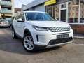Land Rover Discovery Sport 2.0 S AWD*Leder*Pano*8-fach*19"*Navi*SH*LED* Weiß - thumbnail 1