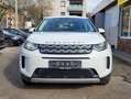 Land Rover Discovery Sport 2.0 S AWD*Leder*Pano*8-fach*19"*Navi*SH*LED* Weiß - thumbnail 4