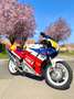 Honda VFR 400 PRO ARM 1988 Rosso - thumbnail 13