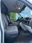 Volkswagen T6 Transporter Kasten Bianco - thumbnail 14