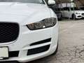 Jaguar XE E-Performance Prestige Aut./Navi/Kamera/Leder Weiß - thumbnail 9