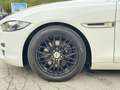 Jaguar XE E-Performance Prestige Aut./Navi/Kamera/Leder Weiß - thumbnail 10