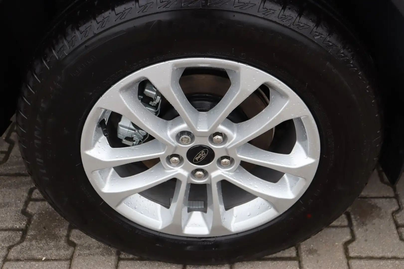 Ford Kuga Titanium 2.5 FHEV SOFORT VERFÜGBAR AHK Weiß - 2