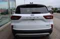 Ford Kuga Titanium 2.5 FHEV SOFORT VERFÜGBAR AHK Weiß - thumbnail 8