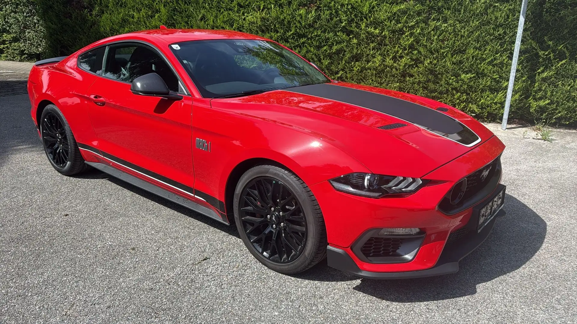 Ford Mustang 5,0 Ti-VCT V8 Mach 1 Aut. - 1