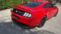 Ford Mustang 5,0 Ti-VCT V8 Mach 1 Aut. - thumbnail 4