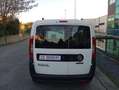 Fiat Doblo Doblo 1.6 mjt 16v 5 Posti Easy E 314 MESE Bílá - thumbnail 5
