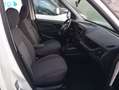 Fiat Doblo Doblo 1.6 mjt 16v 5 Posti Easy E 314 MESE Bílá - thumbnail 12