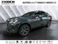 CUPRA Formentor 1.5 eTSI DSG SHZ KLIMA ALLWETTER Navi Blau - thumbnail 1