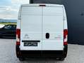 Citroen Jumper 35 L3H2 Profi BlueHDi 160*Pickerl NEU*Bestpreis* Weiß - thumbnail 5