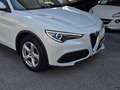 Alfa Romeo Stelvio 2.2 JTDM Super 2WD *Bremsen NEU, RF-Kamera, Mem... Weiß - thumbnail 5