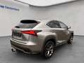 Lexus NX 300h h E-FOUR F Sport, Leder, LED, AHK, Allw. Gris - thumbnail 6