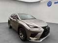 Lexus NX 300h h E-FOUR F Sport, Leder, LED, AHK, Allw. Gris - thumbnail 8