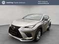Lexus NX 300h h E-FOUR F Sport, Leder, LED, AHK, Allw. Gris - thumbnail 1