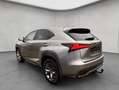 Lexus NX 300h h E-FOUR F Sport, Leder, LED, AHK, Allw. Gris - thumbnail 3