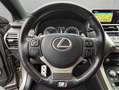 Lexus NX 300h h E-FOUR F Sport, Leder, LED, AHK, Allw. Gris - thumbnail 11