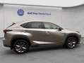 Lexus NX 300h h E-FOUR F Sport, Leder, LED, AHK, Allw. Gris - thumbnail 7