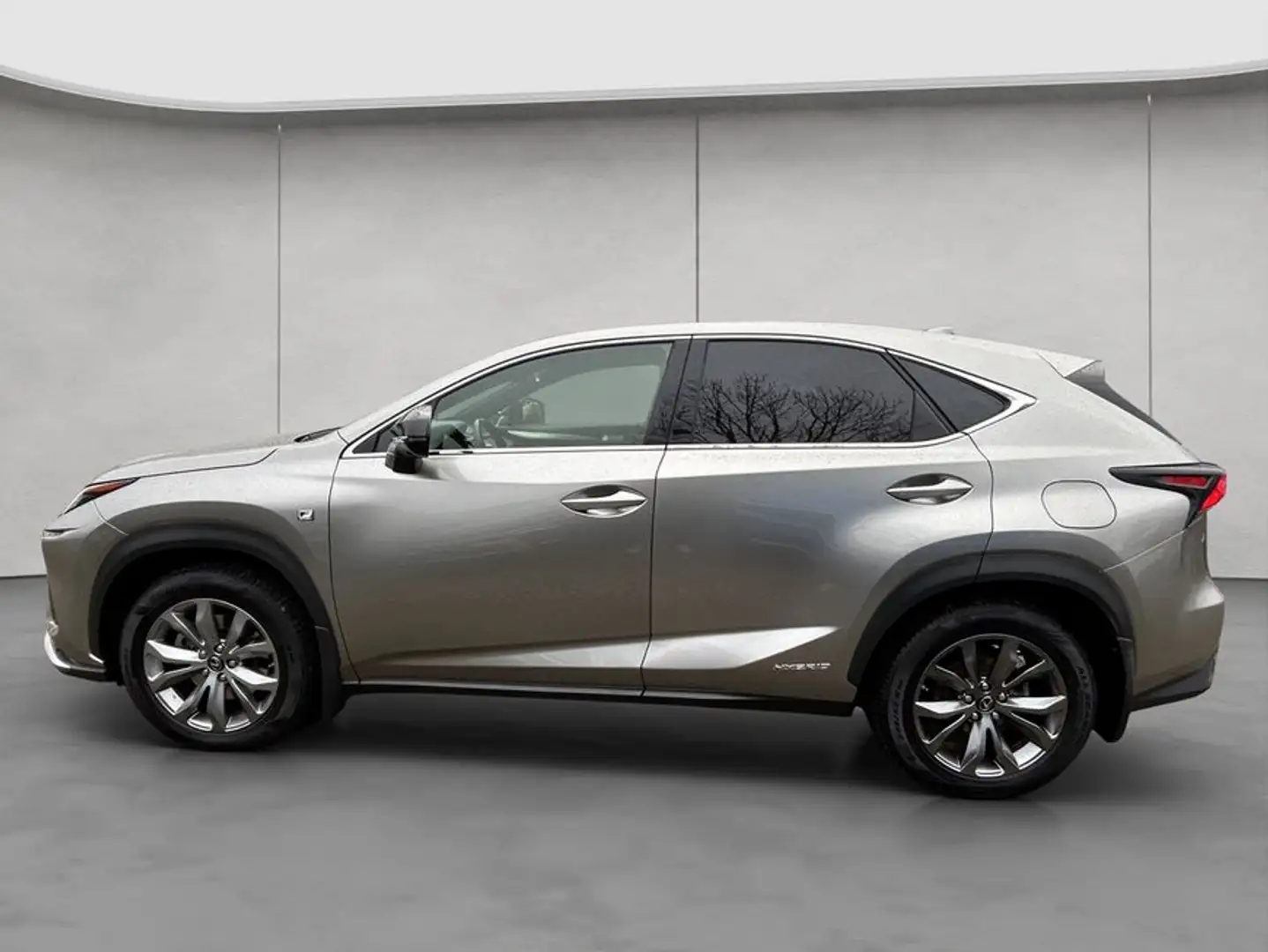 Lexus NX 300h h E-FOUR F Sport, Leder, LED, AHK, Allw. Gris - 2