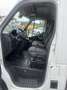 Nissan NV400 2.3dCi 130CV ContainerE6BClima4040x2050x2140kg1050 Bianco - thumbnail 8